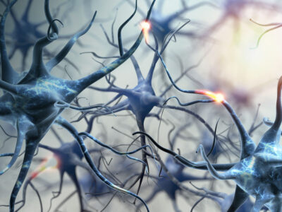 Neural network. Neurons brain connections. 3d illustration.